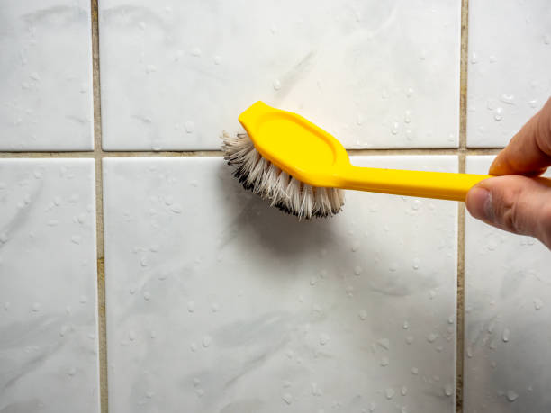 Best Attic Mold Removal  in Waynesboro, VA
