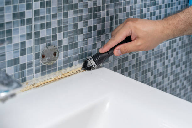 Reliable Waynesboro, VA Mold Removal Solutions