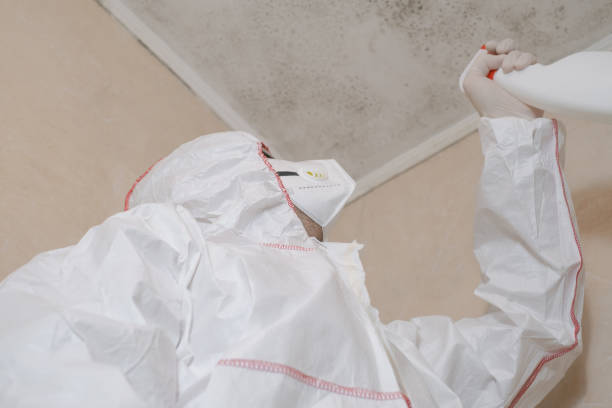 Best Emergency Mold Removal  in Waynesboro, VA