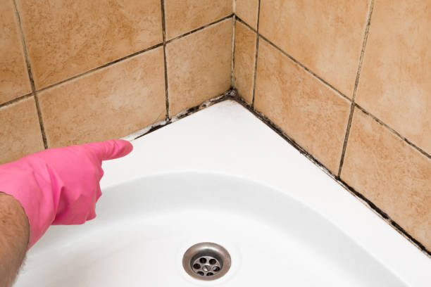 Best Mold Testing  in Waynesboro, VA